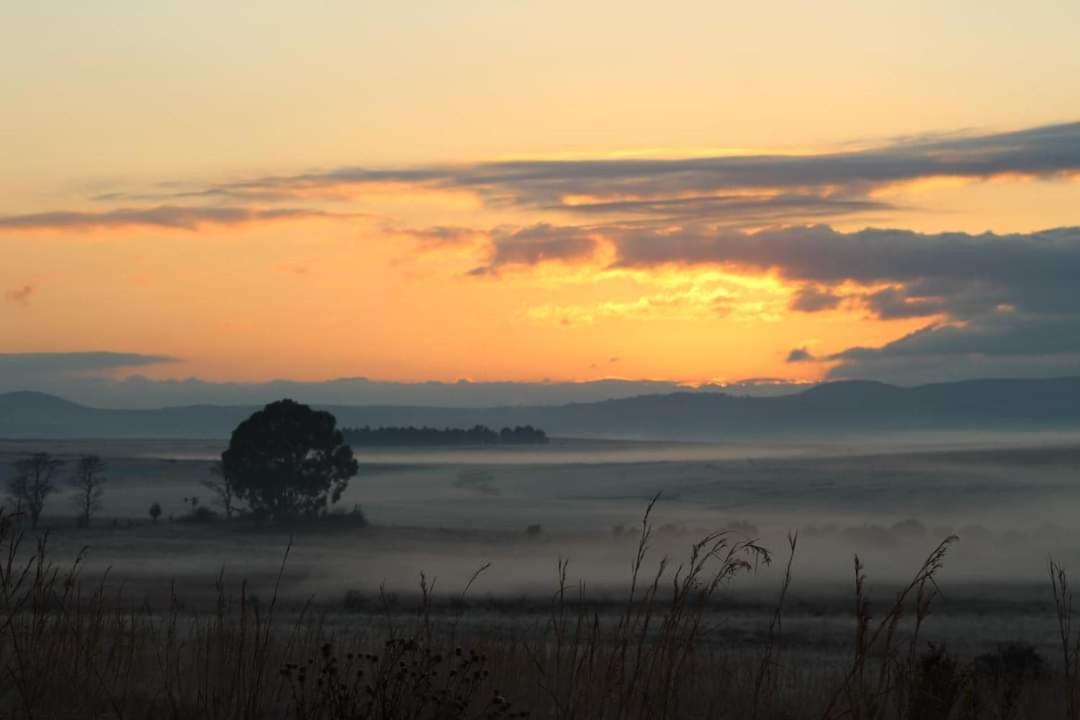 Forellenhof Guest Farm Wakkerstroom Exteriér fotografie